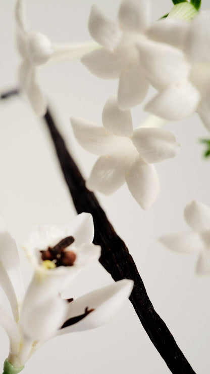 Maison Louis Marie No.03 L'Etang Noir Perfume Oil Roller – alternate product view
